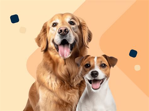 Illustratie van verschillende gewichtscategorieën voor honden bij het kiezen van Bayer Advantix