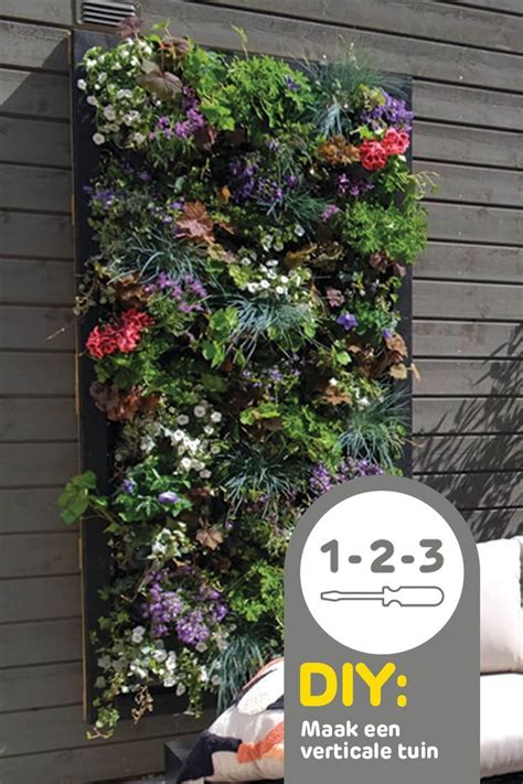 Infographic: stappenplan voor verticale tuin met pallethouten schutting