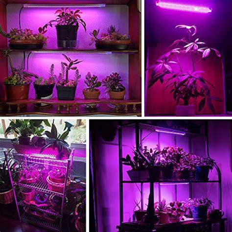 Keuken-ruimte met getemperd licht en groeilampen voor kamerplanten