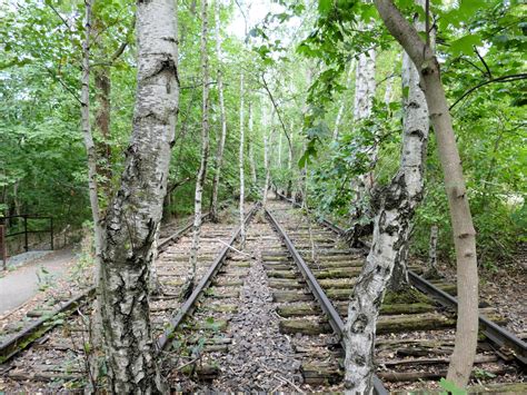 Natur-Park Schöneberger Südgelände met stoomlocomotief