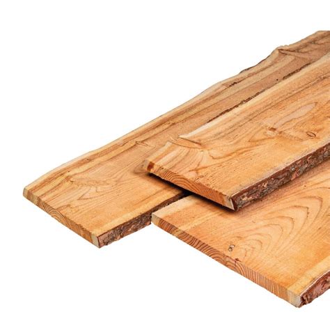 Schaaldelen varianten en montagevoorbeelden