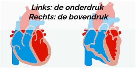 Afbeelding van isolatiekarten en kamerindeling met sluis en onderdruk