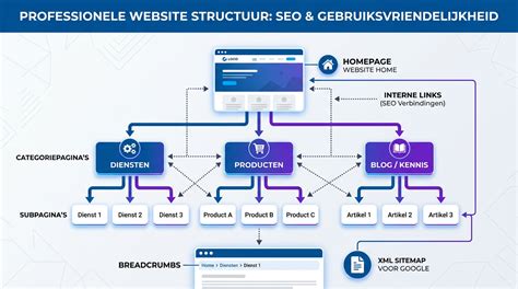 Infographic over rietplafonds: structuur en verankering