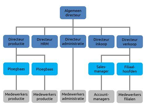 Infographic: Organogram RECTICEL INTERNATIONAL B.V. en afdelingen