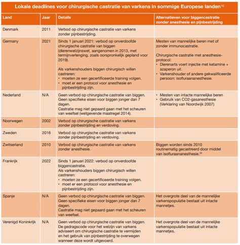 Infographic: Overzicht van stormschadeafhandeling en deadlines