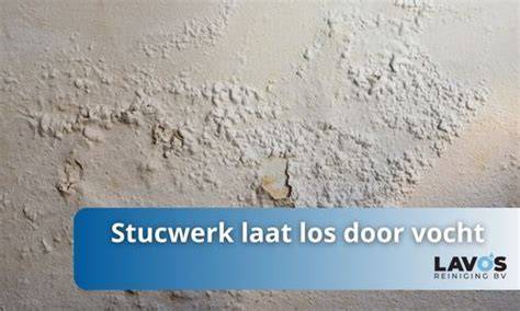 Infographic: Oorzaken en oplossingen voor vocht in stucwerk