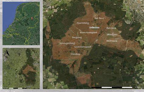 Infographic: Overzicht van Sallandse Heuvelrug-vorm, ligging en beschermde zones