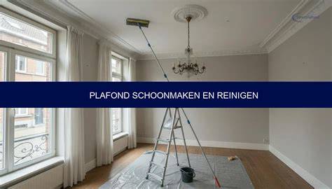 Infographic: Stappenplan plafond schoonmaken