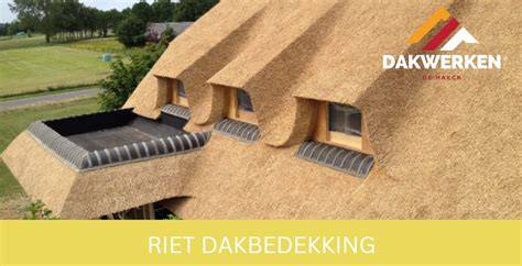 Infographics: vergelijkende voordelen van rieten dak versus traditionele dakbedekking