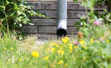 Infographic: Regensysteem ontkoppelen van regenpijp naar tuin
