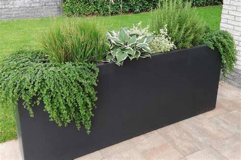 Plantenbak langs balkonrand met hoge grassen en klimplant
