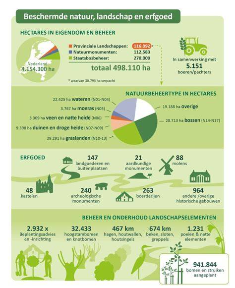 infographic_hout_natuur_bomen