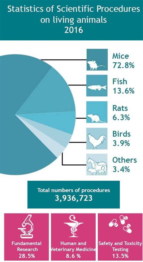 Infographic_dierproeven_regelgeving