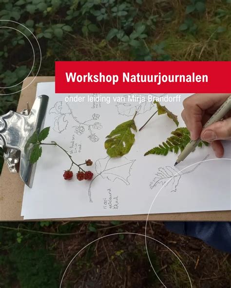 Sasha geeft leiding aan een teken workshop