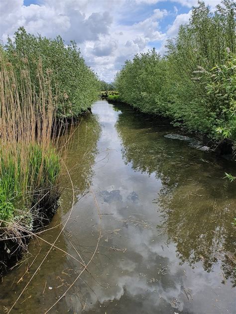 foto van de grienden naast de boerderij, met nadruk op de natuurlijke omgeving