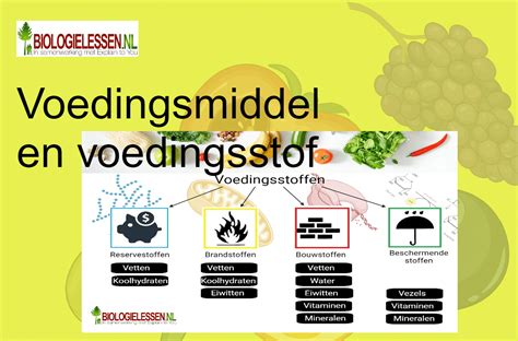 Informatieve afbeelding: 