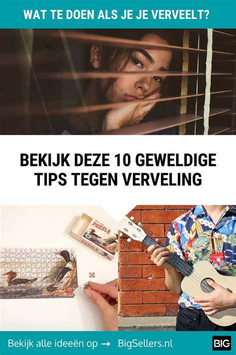 Infographic: wat te doen als je twijfelt over vergunningsvrij bouwen