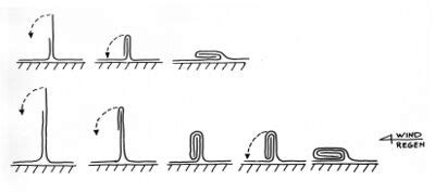 De wijze waarop men een enkele fels (boven) en een dubbele fels vervaardigt.