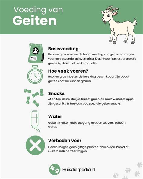 Infographic: Overzicht I&R en meldingssysteem voor schapen en geiten