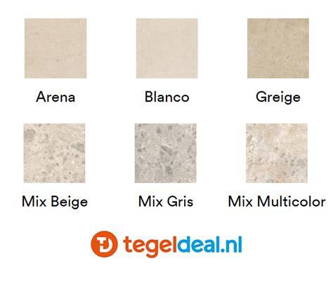 Infographic: soorten tegellooks (houtlook, betonlook, steenlook, marmerlook, XXL-formaten) en hun kenmerken