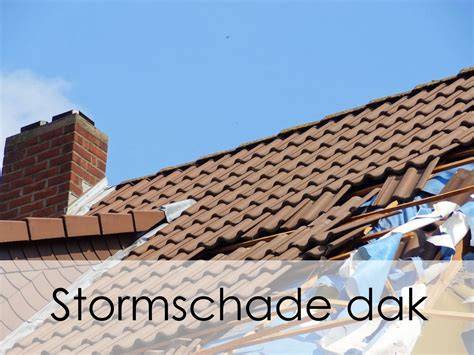 Storm- en dakschade infographic