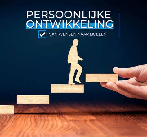 Infographic: van oorsprong en ontwikkeling van verschut naar voor schut staan