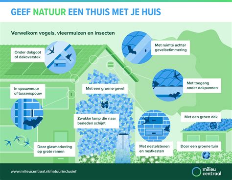 Illustratie van verschillende natuurinclusieve maatregelen aan een woning.