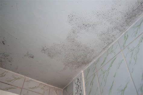 Illustratie van een vochtige badkamer met mogelijke problemen zoals schimmel en scheuren.