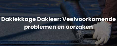 Infographic: Oorzaken en oplossingen daklekkage