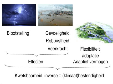 Overzicht van veelgebruikte egalines per ondergrond