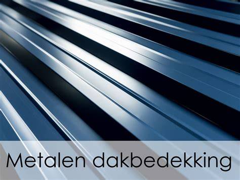Infographic: Levensduur en kosten van metalen dakbedekking per metaalsoort