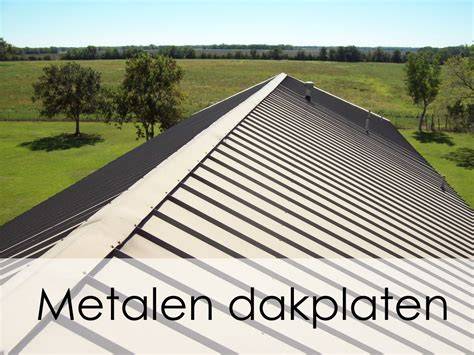Infographic: Overzicht soorten metalen dakbedekking en hun kenmerken