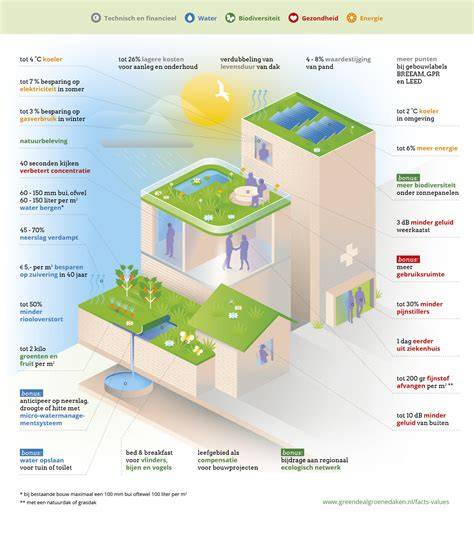 Infographic over sponswerking en waterbuffering van groendaken