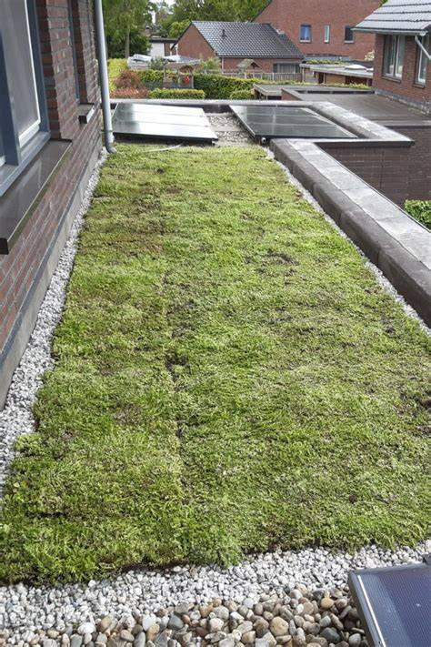 Verkoelende werking groendak op stedelijk klimaat