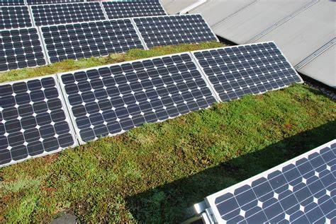 Groene dak met zonnepanelen - dubbel duurzaam