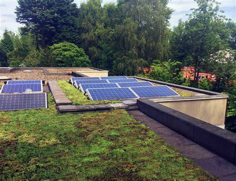 Zonnedak met sedum en zonnepanelen
