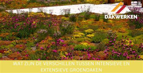 Extensieve vs intensieve groendak schematisch overzicht