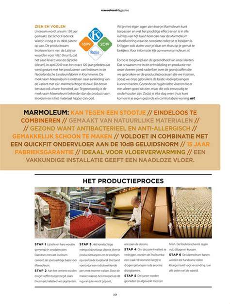 Infographic: productiestappen van multiplex (houtkeuze, schillen, drogen, lamineren, persen)