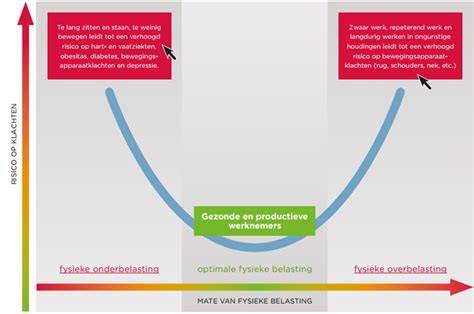 Diagram: bronprincipe en oplossingen bij fysieke belasting