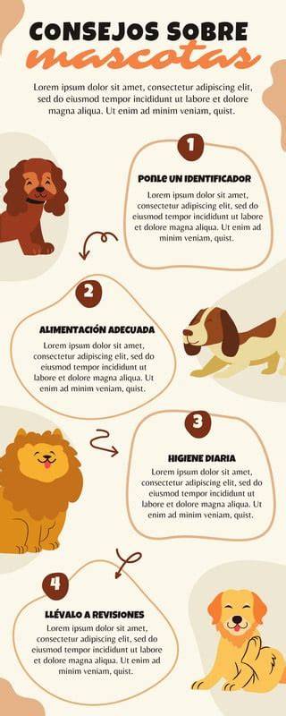 Infographic sobre VELUX-typen en upgrade-opties