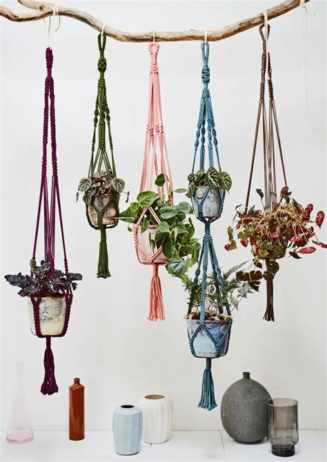 Voorbeeld van een macramé plantenhanger met een hangplant.