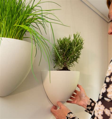Illustratie van het Artiteq schilderijophangsysteem met de Botaniq bloempot.
