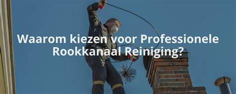 Diagram: Wanneer kiezen voor professionele reiniging