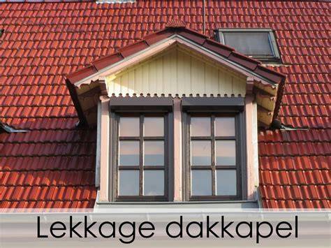 Diagram van mogelijke schadepunten bij lekkage onder dakkapel en dakramen