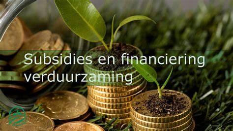 Image: Subsidies en terugverdientijd overzicht