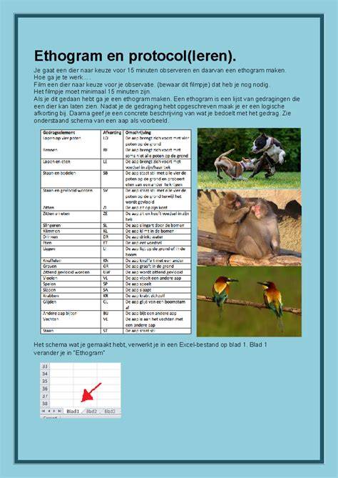Infographic over ethologie: gedragselementen, ethogram, protocol, en FAP
