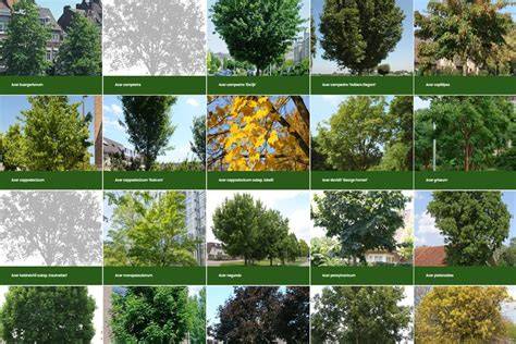 Behangvoorbeelden met plantenpatronen en bomen op moderne interieurs