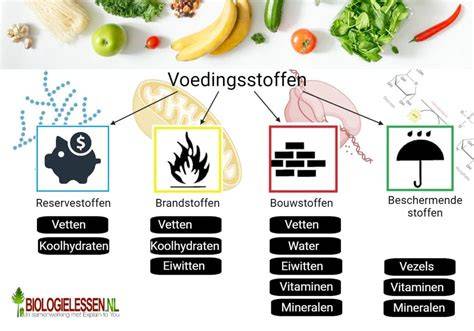 Diagram: hoofdgroepen hulpstoffen en hun effecten