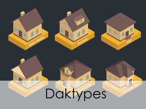 Infographic: overzicht daktypes en kenmerken