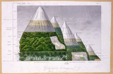 illustratie_verschillende_hoogtes_borstwering